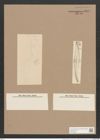 Pleurosigma formosum W.Sm. (de-Toni-Nr.: Genus 13, Species 1040) Zeichnungen Sammlung Grunow Nr. 2094 (NHMW-BOT-W0368965)